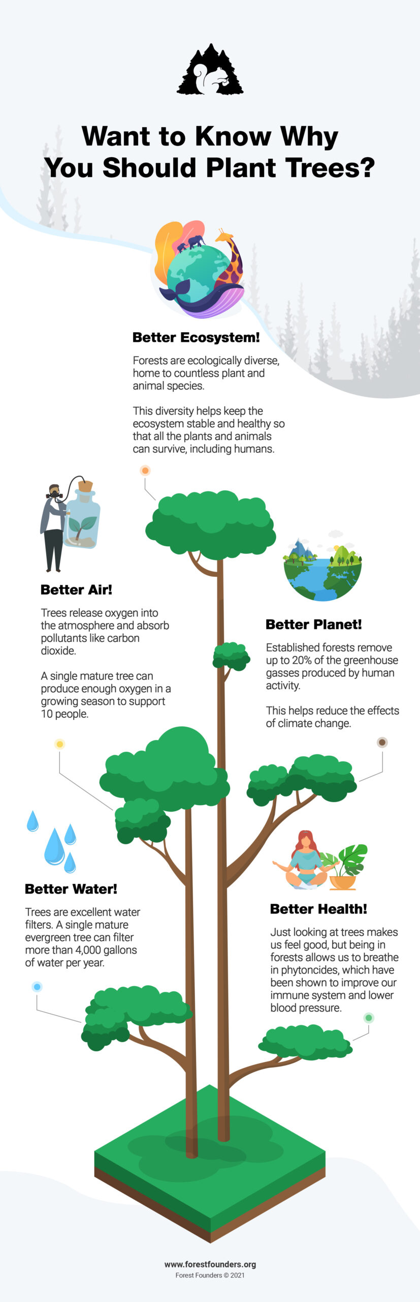 what-are-the-3-r-s-for-sustainability-forestfounders